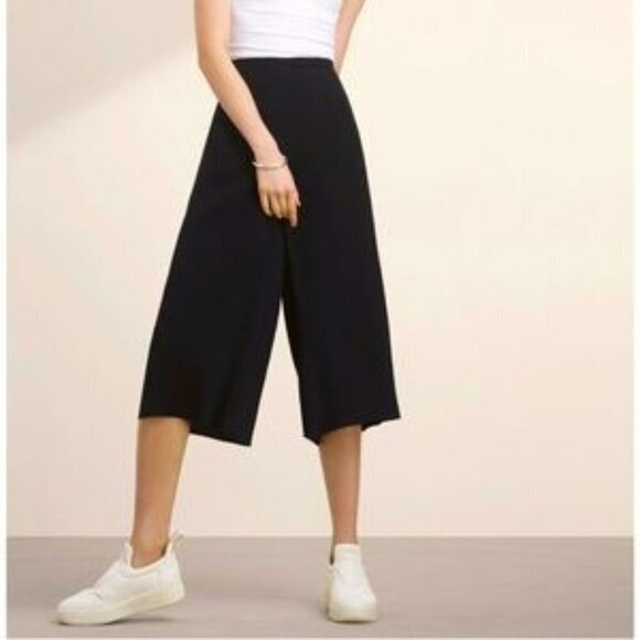 Aritzia Babaton Black Crepe Lazarus Wide Leg High Waist Culottes Cropped Pants 4